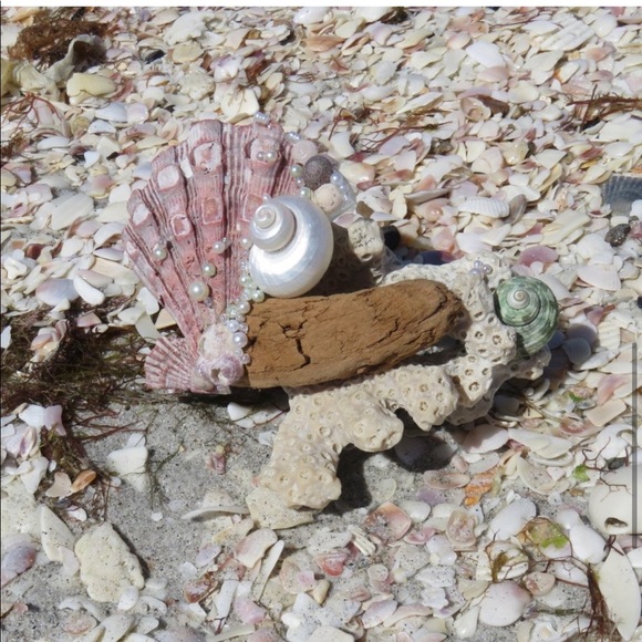 Lion's Paw Driftwood Coral Pearly Beachscape OOAK Handcrafted Coastal Art - Picture 8 of 11